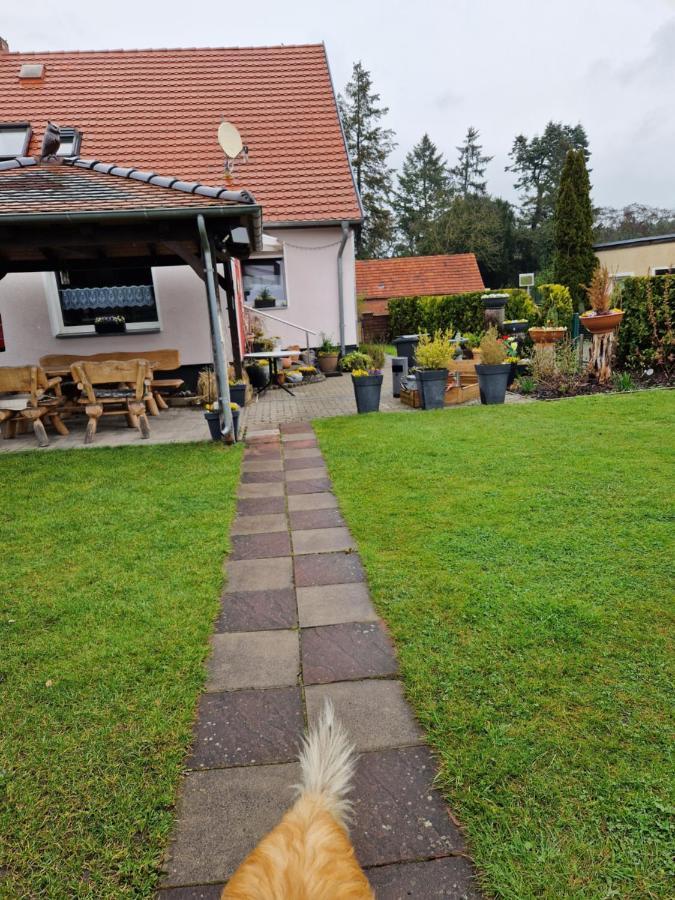 Ferienhaus Schneider Wulkau ภายนอก รูปภาพ
